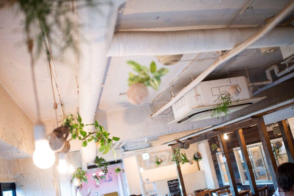 「hangの空中植物園」ワークショップ南青山「A to Z cafe」で2日間限定開催！のサブ画像12