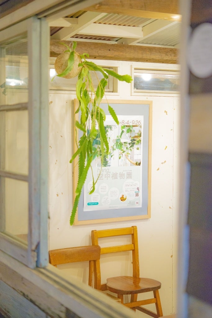 「hangの空中植物園」ワークショップ南青山「A to Z cafe」で2日間限定開催！のサブ画像6