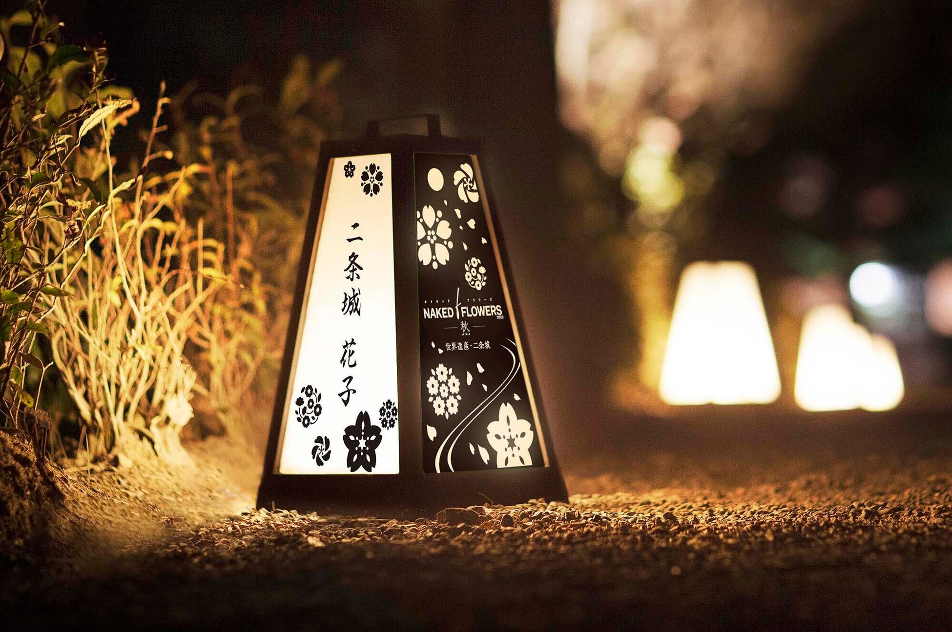 世界遺産・二条城で、京都の紅葉を満喫する恒例人気アートイベント詳細発表のサブ画像2