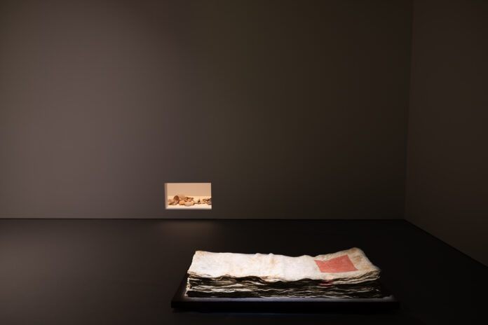 企画展「丹」開催のメイン画像