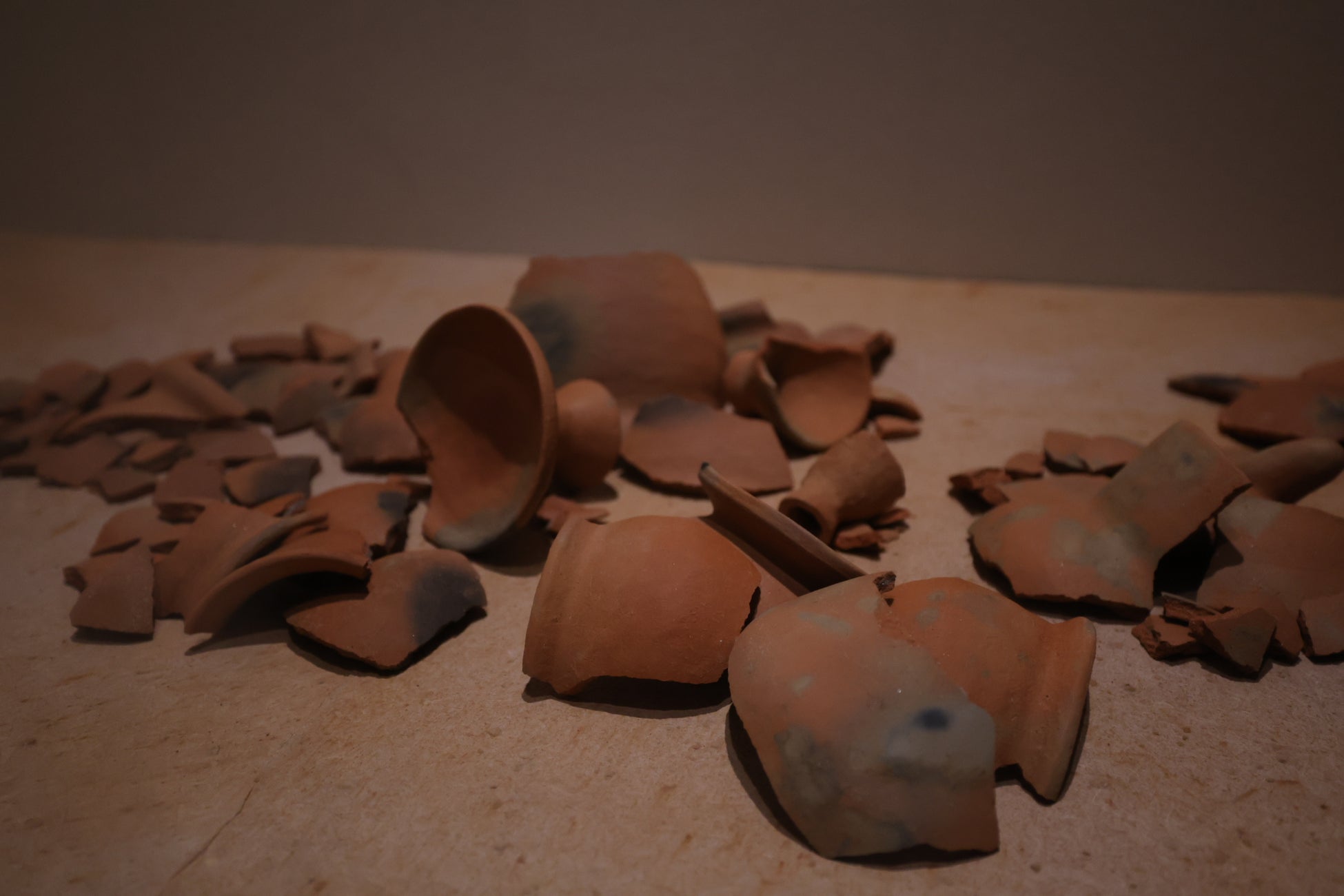 企画展「丹」開催のサブ画像3_AAWAA「丹」展示風景