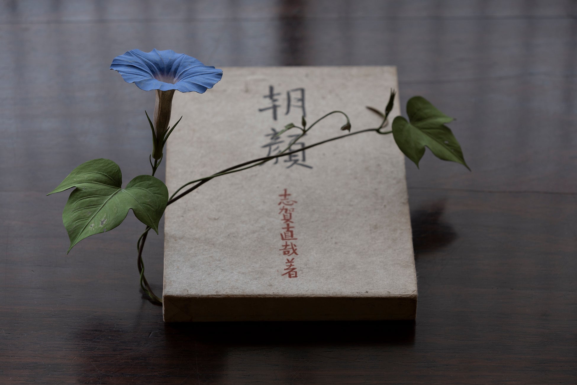 陶芸家・新里明士ー新作「辰砂壺」発表のサブ画像3_須田悦弘「朝顔」2022年