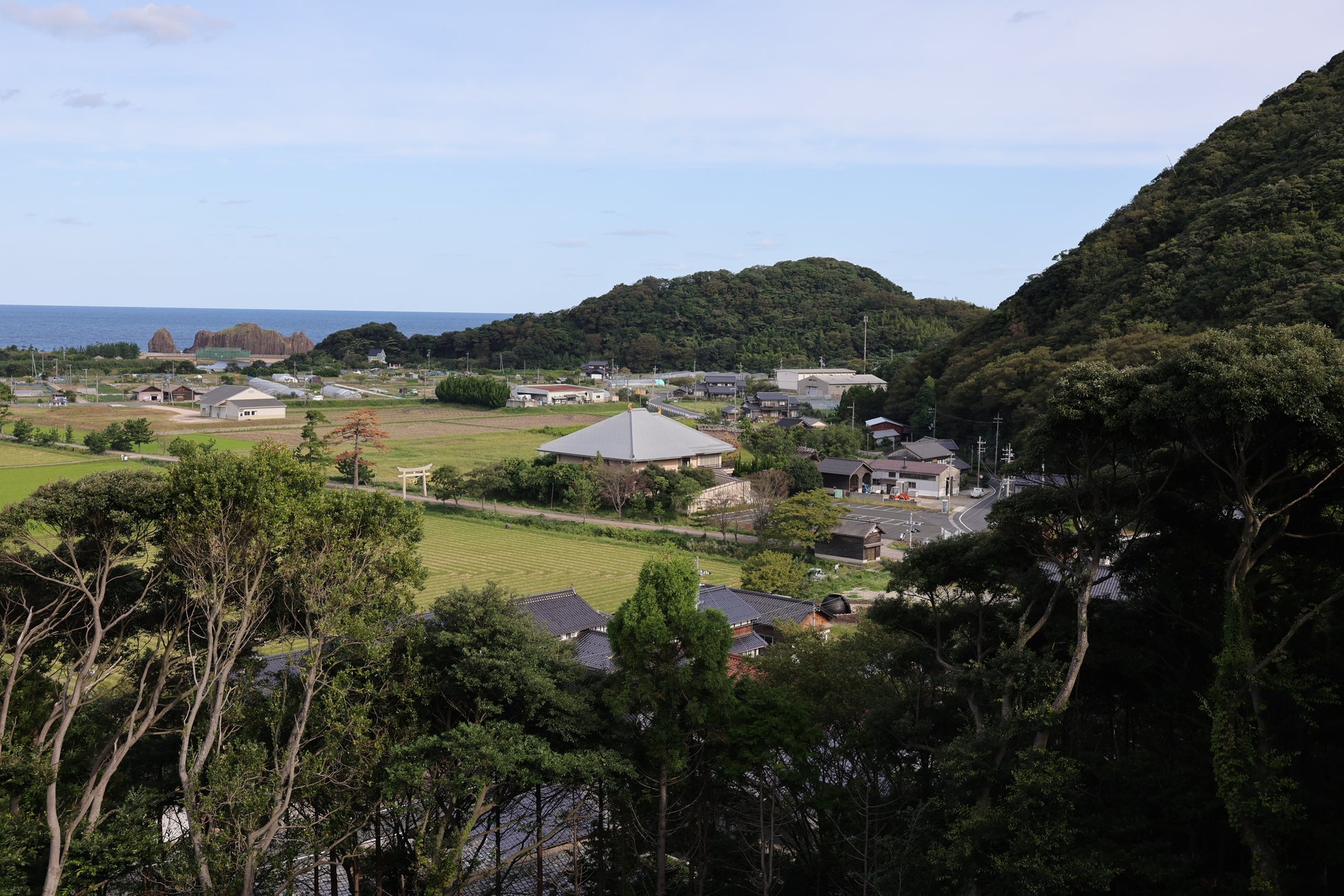 桶職人・中川周士ー「まな板づくり」ワークショップ開催のサブ画像4_神明山古墳から臨む風景