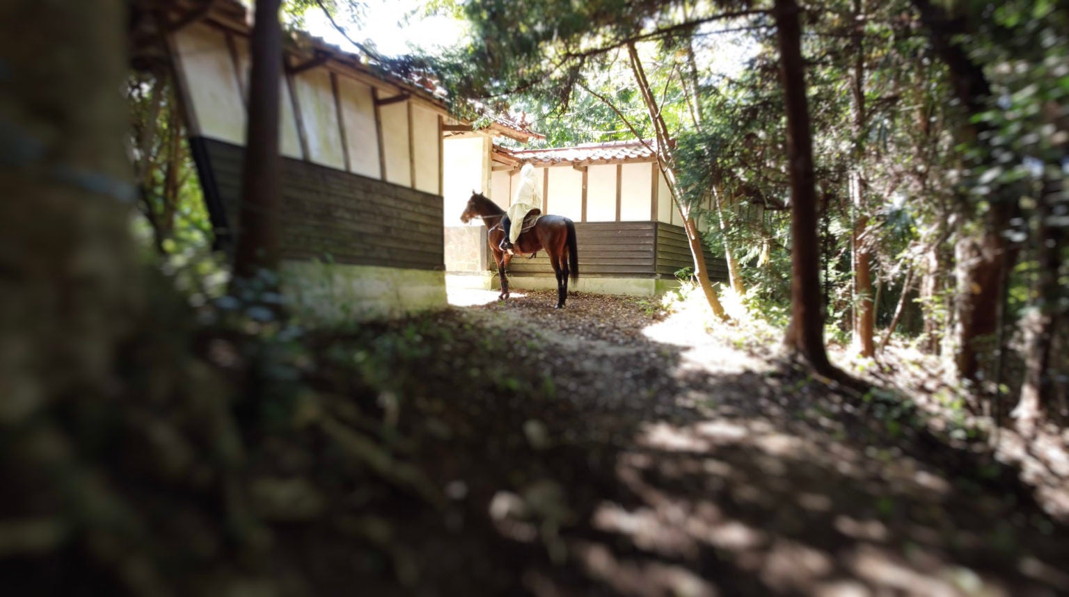 相馬藩の「殿」と共に新しい自治の形を目指す「驫（ノーマ）の谷/ Noma Valley」、会員証NFTアートを10月27日より本販売開始して始動。先行販売では約200名が参画、最高額のNFTは完売。のサブ画像1