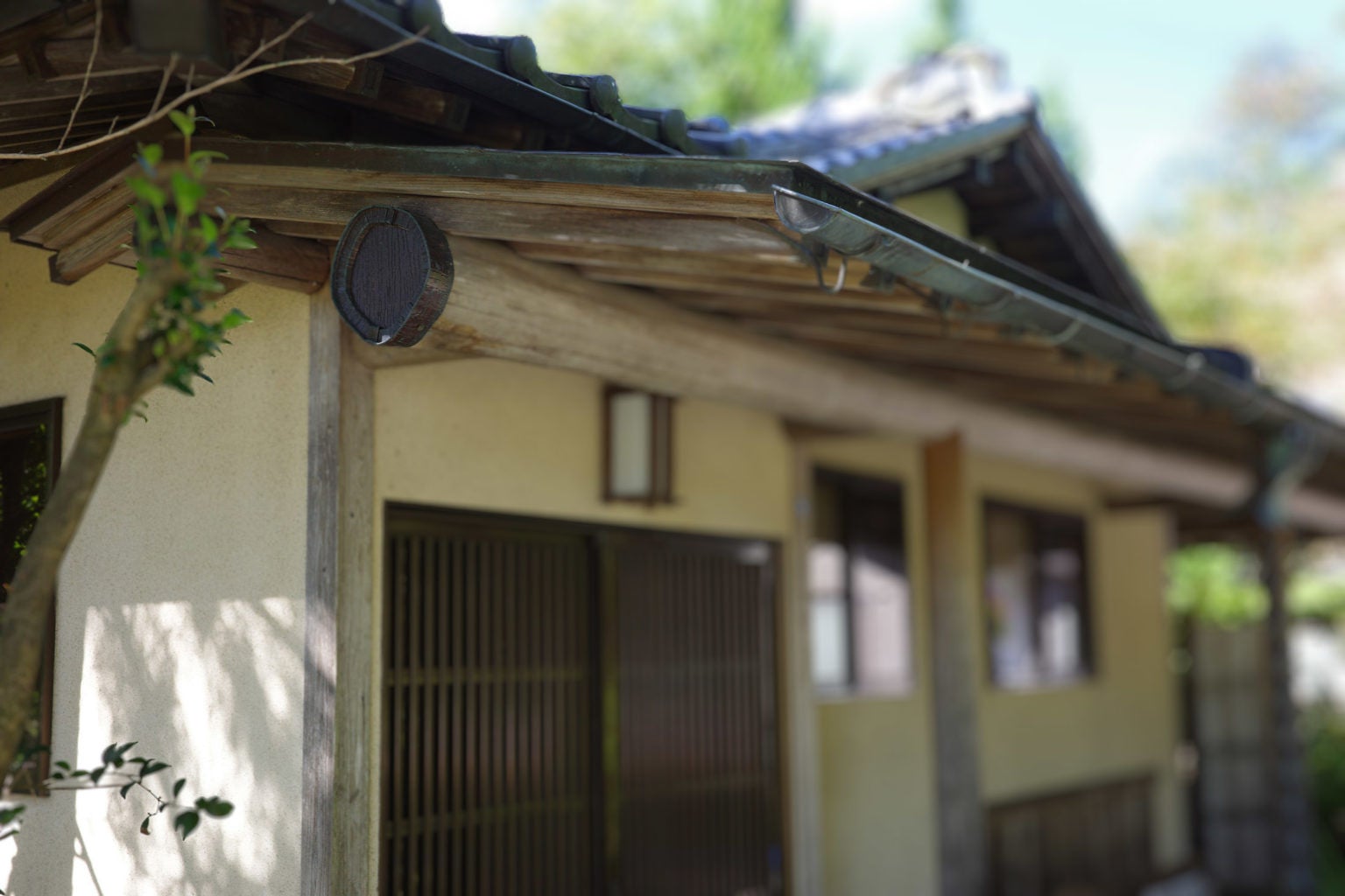 相馬藩の「殿」と共に新しい自治の形を目指す「驫（ノーマ）の谷/ Noma Valley」、会員証NFTアートを10月27日より本販売開始して始動。先行販売では約200名が参画、最高額のNFTは完売。のサブ画像12