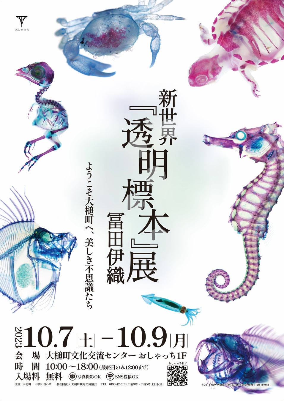 【岩手初】特別展 冨田伊織 新世界『透明標本』展 10/7(土)より大槌町文化交流センターおしゃっちにて開催のサブ画像3