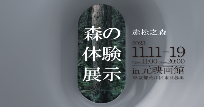 東京の元映画館で森を体感するインスタレーション展示「森の体験展示『赤松之森』モノの始まりに出会う」を開催。11月11日(土)から11月19日(日)まで。長野の森が東京にやって来る。のメイン画像