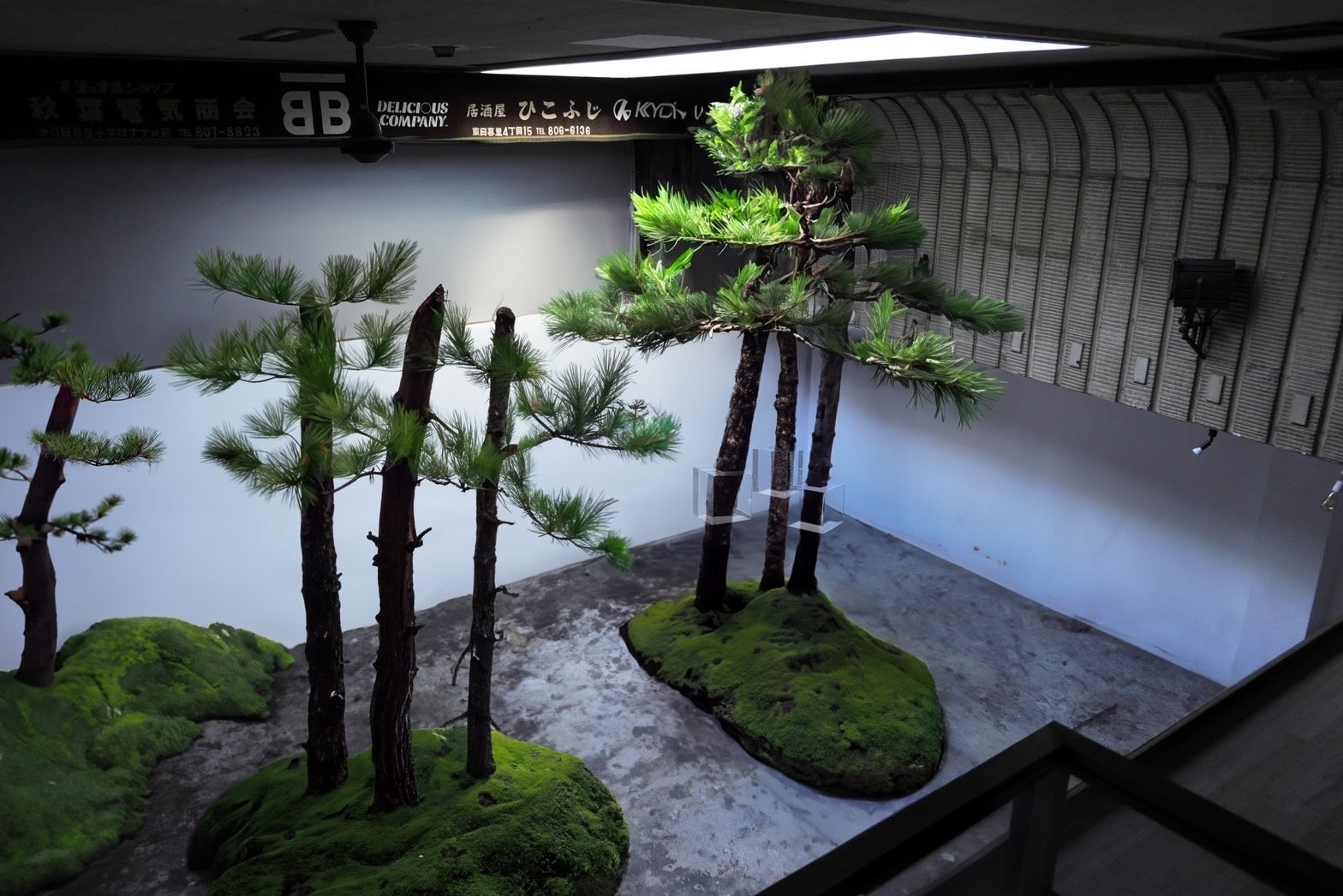 東京の元映画館で森を体感するインスタレーション展示「森の体験展示『赤松之森』モノの始まりに出会う」を開催。11月11日(土)から11月19日(日)まで。長野の森が東京にやって来る。のサブ画像2