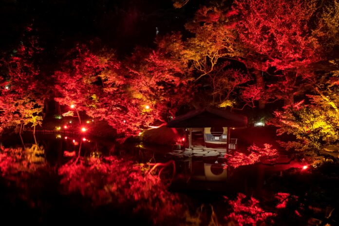 〈11/10(金)〜開催〉八芳園の庭園が赤に染まるライトアップイベント　秋、開花。『TOKYO RED GARDEN AUTUMN FESTIVAL 2023』のメイン画像