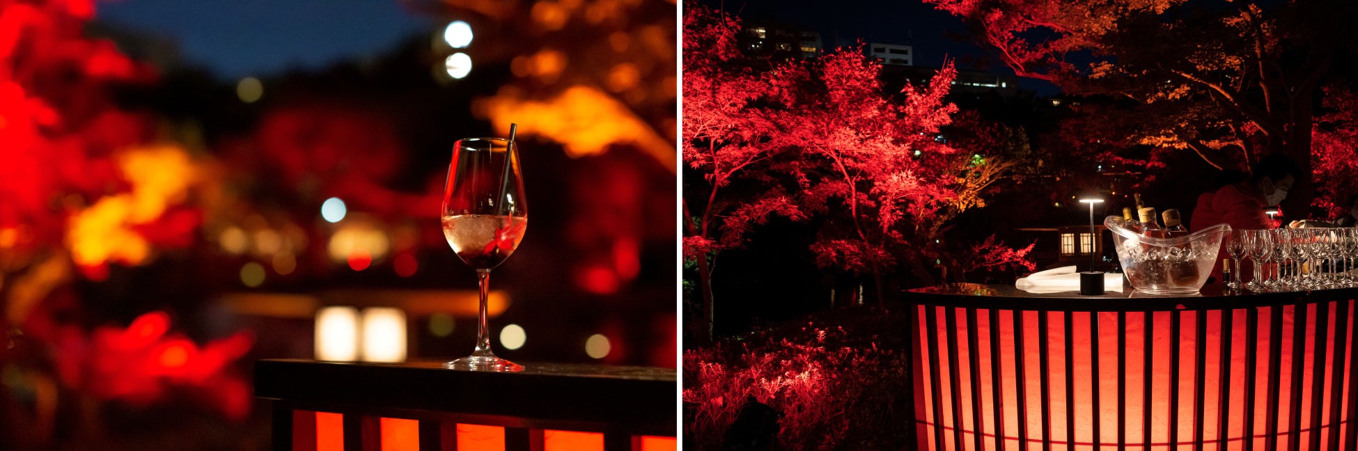 〈11/10(金)〜開催〉八芳園の庭園が赤に染まるライトアップイベント　秋、開花。『TOKYO RED GARDEN AUTUMN FESTIVAL 2023』のサブ画像5_※写真はイメージです