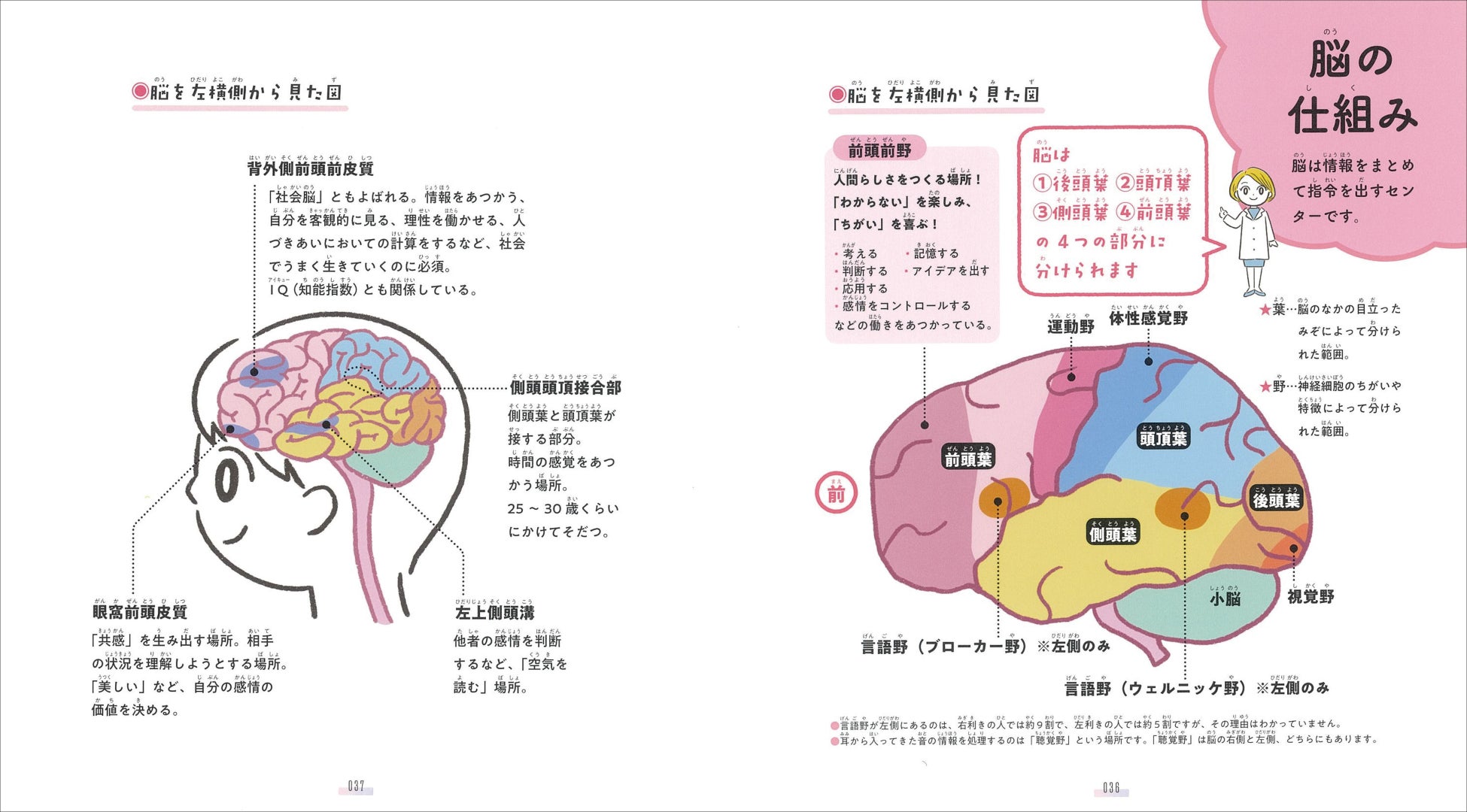 脳科学者・中野信子先生による子ども向け実用書 第2弾！『中野信子のこどもアート脳科学 ～「わからない」を楽しむ高IQ脳のそだて方～』フレーベル館より10月27日に発売！のサブ画像6