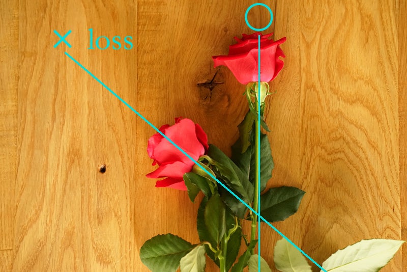 ＜親子でSDGs＞年間10 億本を超えるお花が廃棄されるロスフラワーを再利用！お花の廃棄率 0％の花屋が、神戸阪急リニューアルオープンの特設会場にて親子でフラワーリース作り開催！期間限定もOPENのサブ画像2