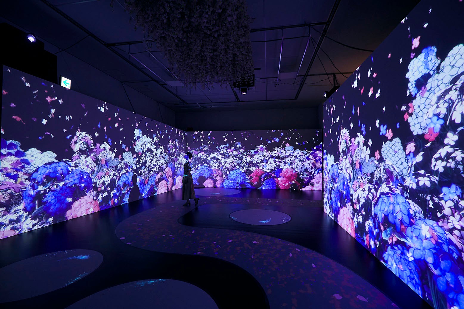 一旗プロデュース「空間体感！動き出す浮世絵展 NAGOYA」の公式記録映像第四弾“麗”を公開。美しい色使いで圧倒する桜の世界、繊細に表現された美人画の世界を巡る。のサブ画像7