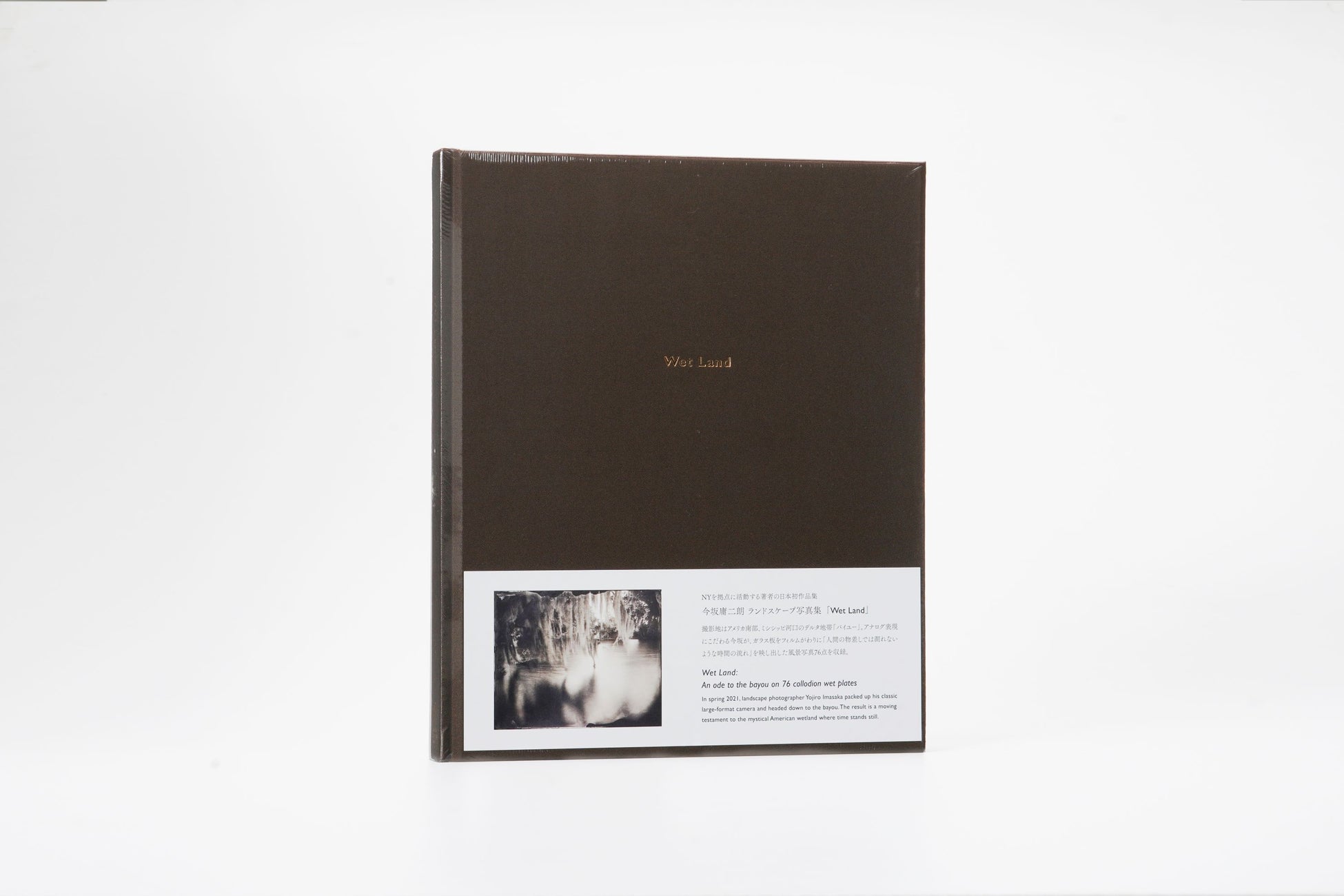 【銀座 蔦屋書店】今坂庸二朗作品集刊行記念展「Wet Land」を10月21日（土）より開催。のサブ画像3