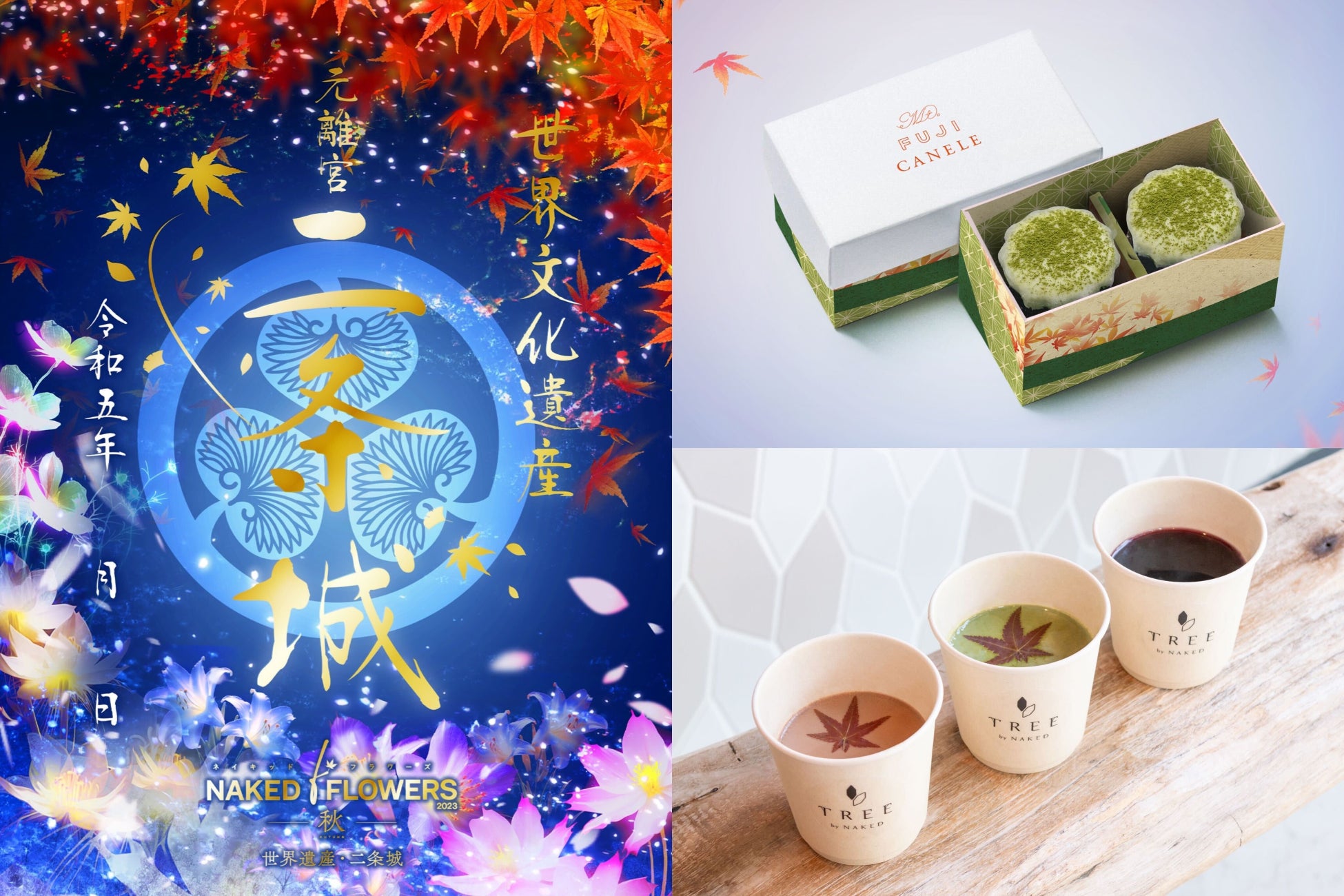 京都の秋本番！京風スイーツや完売続出のグッズで、さらに楽しむ秋の二条城のサブ画像1