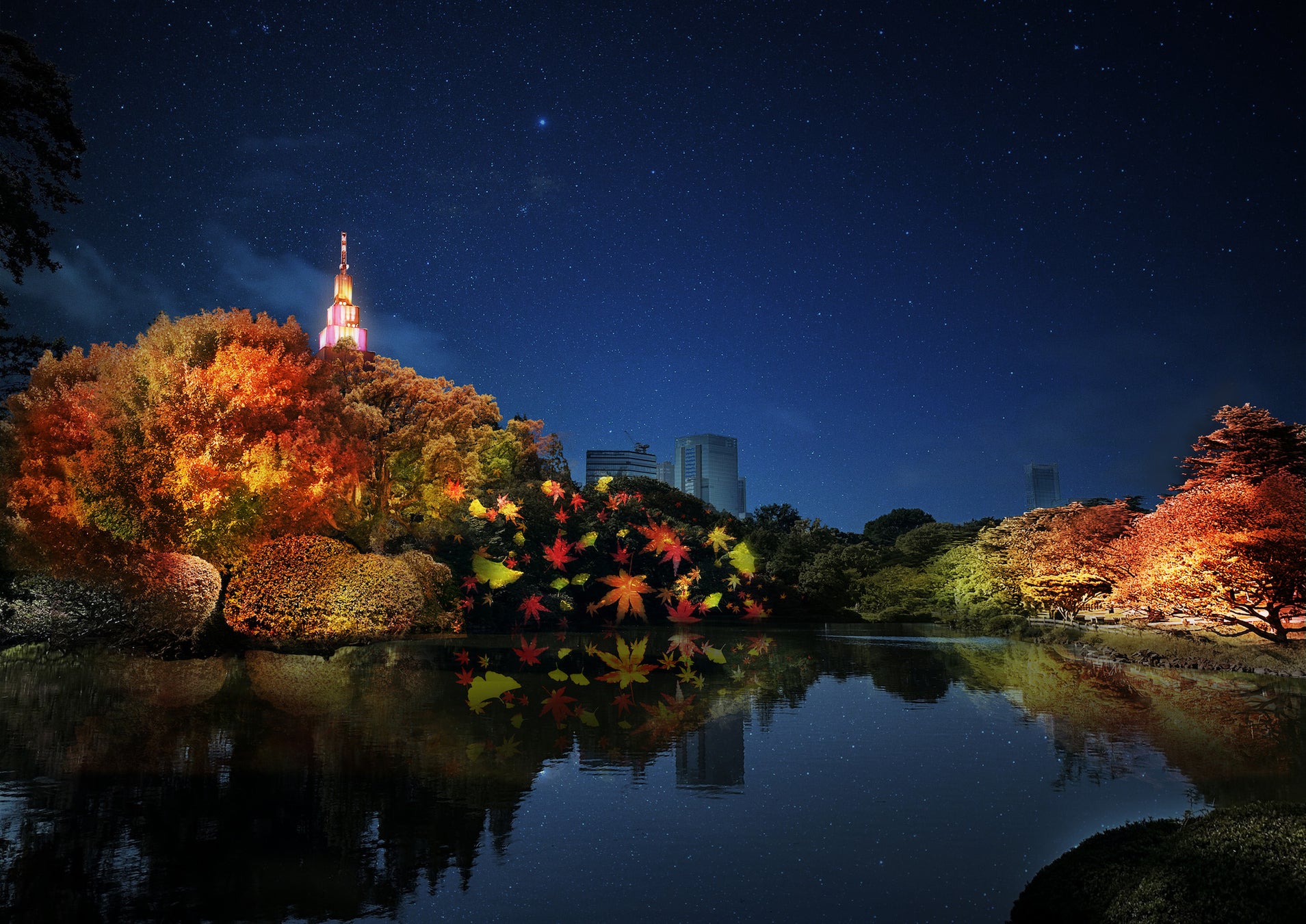 新宿御苑とネイキッドが再びコラボ！　紅葉ライトアップイベント開催決定のサブ画像4