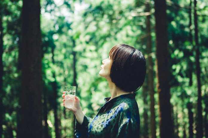 木のドリンクで水源の森をあじわう「QINO BAR」が10月8日“木の日”に開催【東京ビエンナーレ2023】のメイン画像