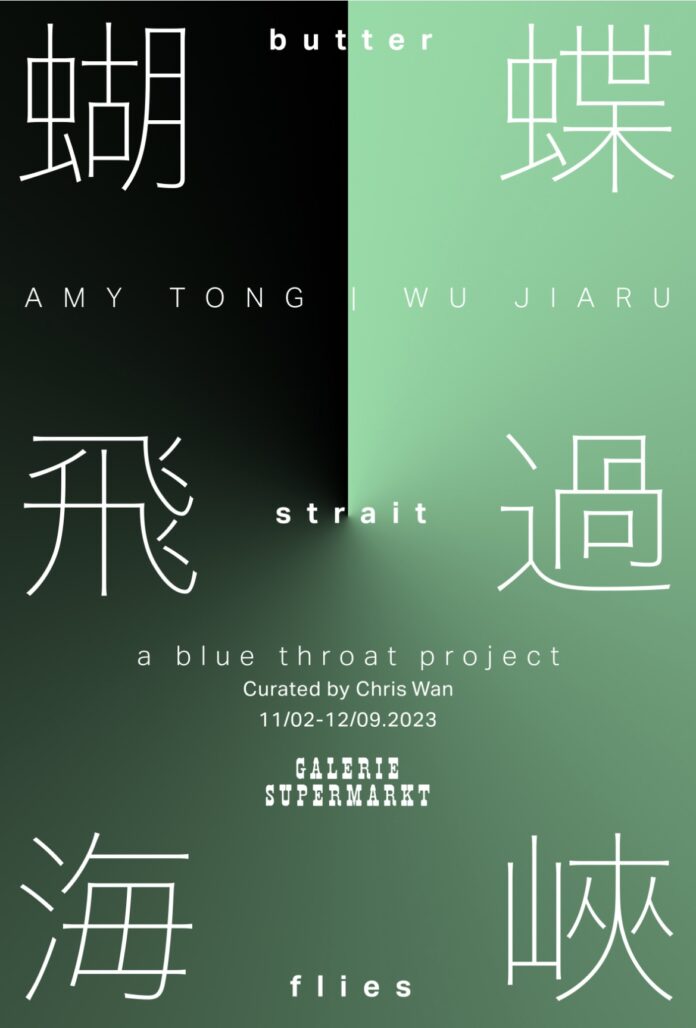 香港出身のアーティストAmy TongとWu Jiaruによる二人展「青喉:胡蝶が海峡を渡って行った」をGalerie Supermarkt(東京)にて開催のメイン画像
