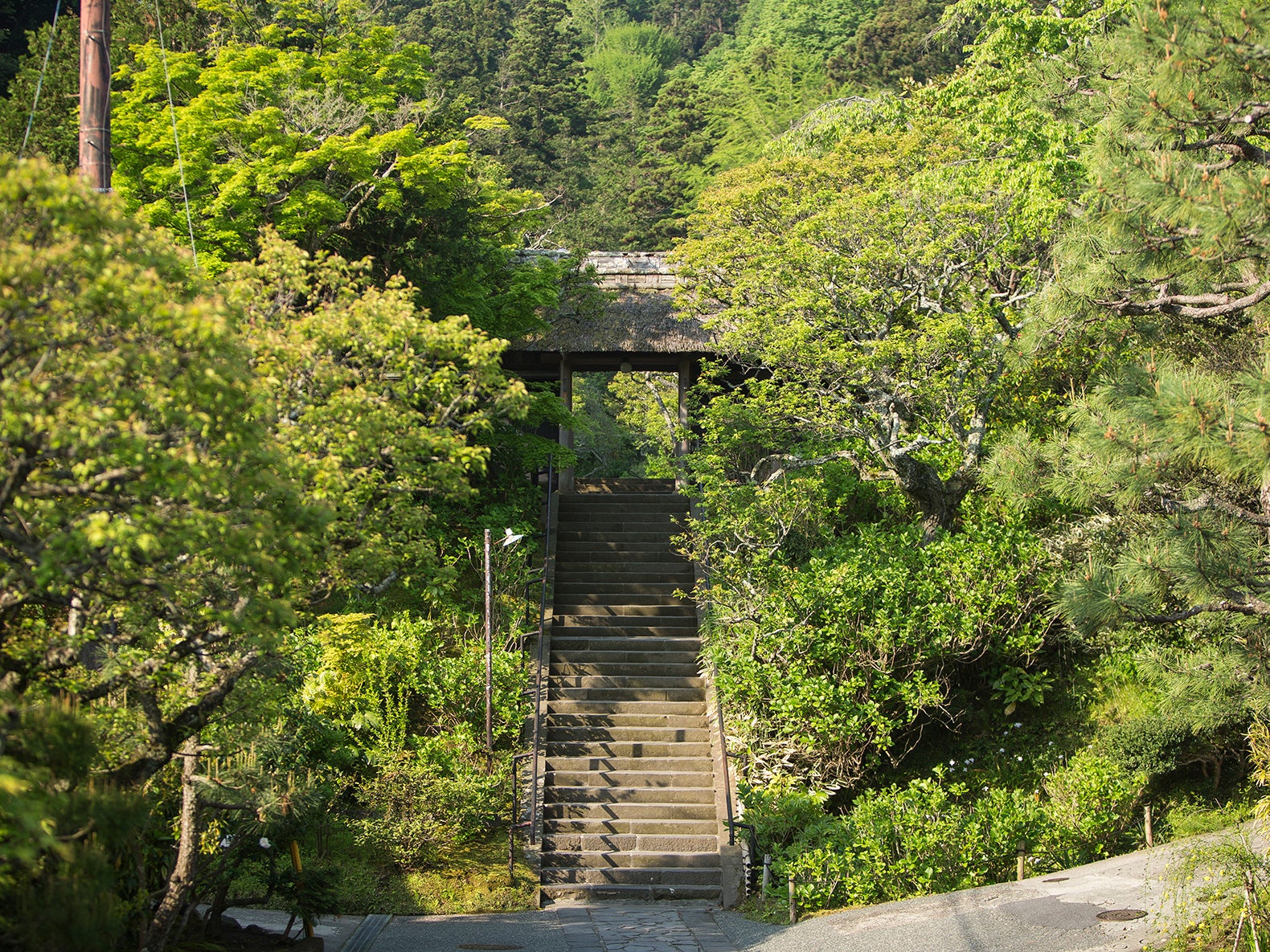 「バッジュ・シャーム・キョウト 鎌倉遷展」2023年11月30日（木）より北鎌倉 東慶寺にて開幕のサブ画像11