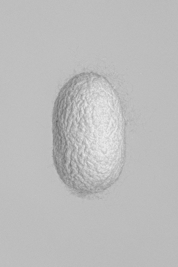 第22回（2020年度）三木淳賞受賞作家新作展　飯沼珠実写真展「機械と心 ―白くて小さな建築をめぐり」 を開催のサブ画像1