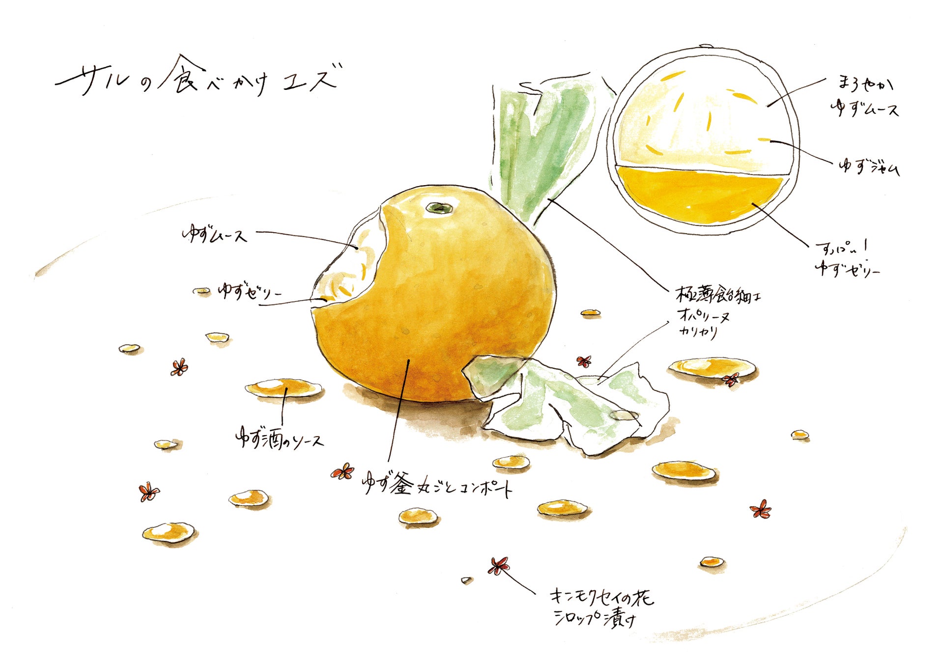 TOKYOの源流を巡る芸術祭「あきがわアートストリーム2023」開催～TOKYOの源流と最新の「現代アート」が合流！ 彩づく紅葉を散策しながらアートを感じるプロジェクトのサブ画像6_菅谷杏樹『山の暮らしを食べる』