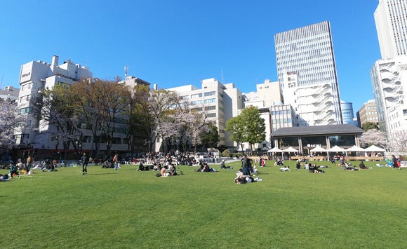 【としま編んでつなぐまちアート2023】豊島区立南池袋公園の木々にニットアートを飾り付けるワークショップを2023年11月21日（火）開催のサブ画像3_豊島区立南池袋公園