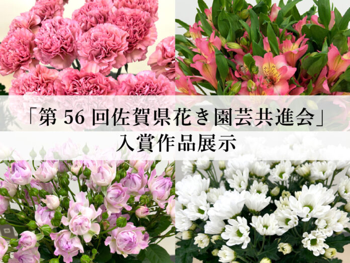 佐賀県産花きの美しさを競う「第56回佐賀県花き園芸共進会」の入賞作品を、SAGA MADOで展示します！のメイン画像
