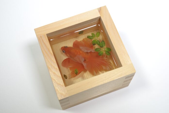 【銀座 蔦屋書店】深堀隆介の作品展「水底に描く」を2月6日（火）より開催。独自の技法を用いて金魚の住む世界のリアリティーと痕跡を描く。のメイン画像