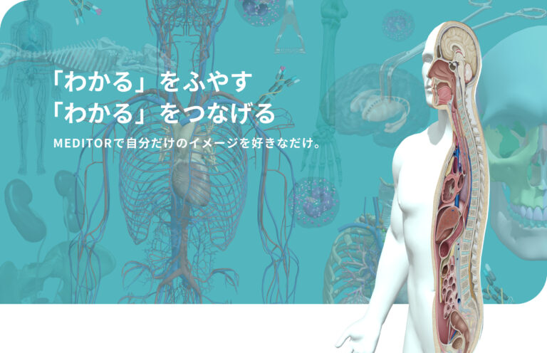 メディカルイメージ生成アプリ「MEDITOR®︎」　　北海道大学病院先端医療技術教育研究開発センターでの利用開始のメイン画像