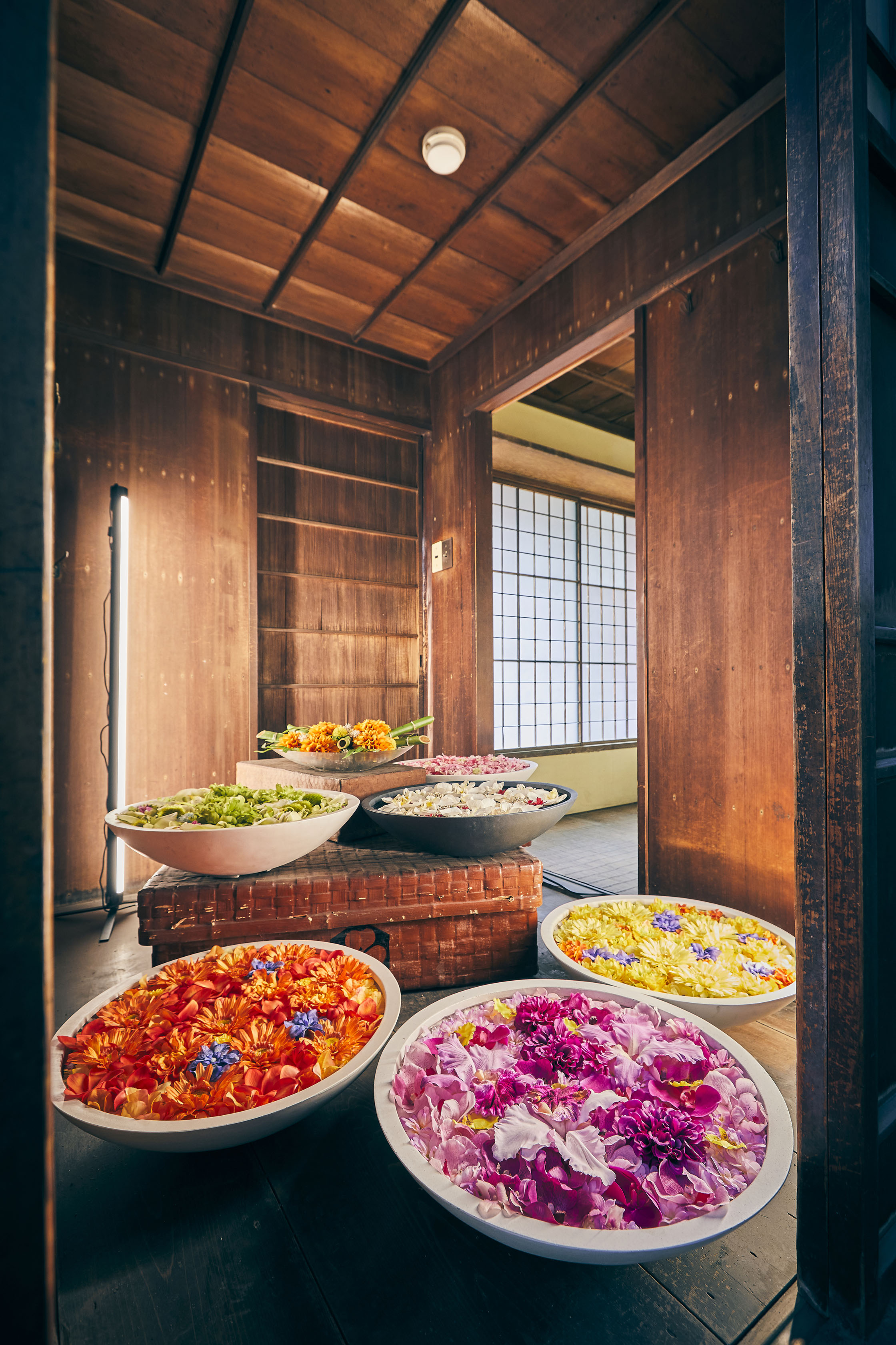一旗プロデュース「愛知県指定有形文化財 伊藤家住宅×花とデジタルアートの祭典 2023-2024」の公式記録映像を公開。貴重な建物を舞台に日本の文化芸術とデジタルアートが融合した幻想的なアート空間。のサブ画像9