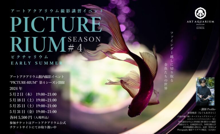 アートアクアリウム美術館主催 撮影講習イベント　PICTURE-RIUM SEASON #4　5月に開催決定！のメイン画像