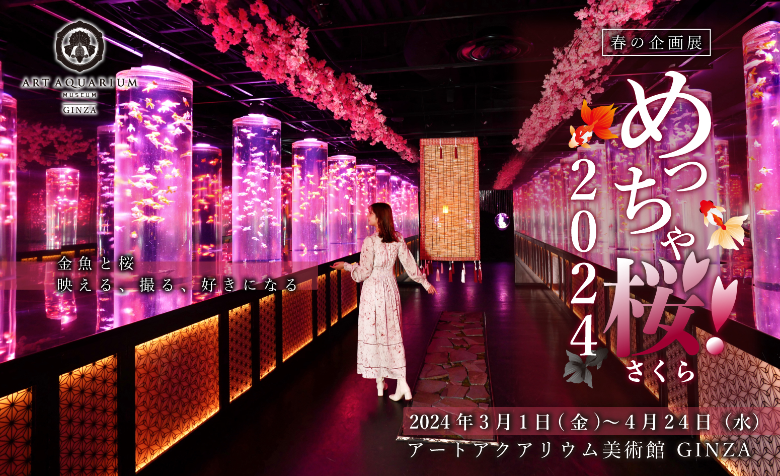 ー映える、撮る、好きになる！ー　アートアクアリウム美術館 GINZA　開業2周年目前に来館者100万人のサブ画像5