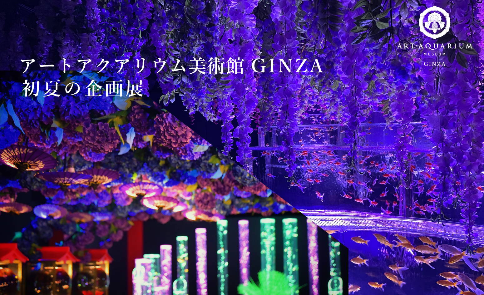 ー映える、撮る、好きになる！ー　アートアクアリウム美術館 GINZA　開業2周年目前に来館者100万人のサブ画像6