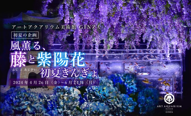 藤と紫陽花が彩る初夏ならではの風情が金魚泳ぐ館内を幻想の“艶”空間に演出　アートアクアリウム美術館 GINZA　初夏企画「風薫る、藤と紫陽花 初夏きんぎょ」　4月26日より開催のメイン画像