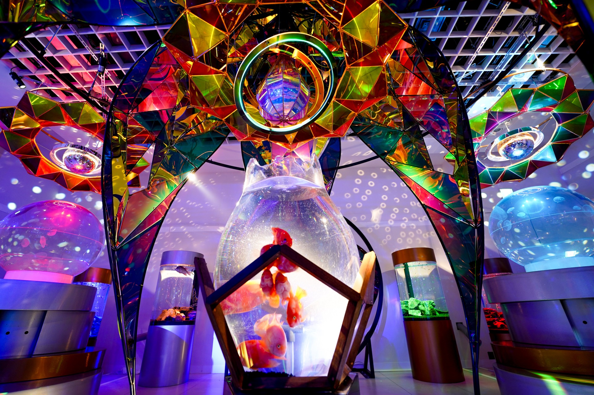 期間限定 「UNDER WATER SPACE NAGOYA」 mozoワンダーシティに明日オープン！宇宙旅行を模した異次元アクアリウムは 新感覚なアート展示にのサブ画像7
