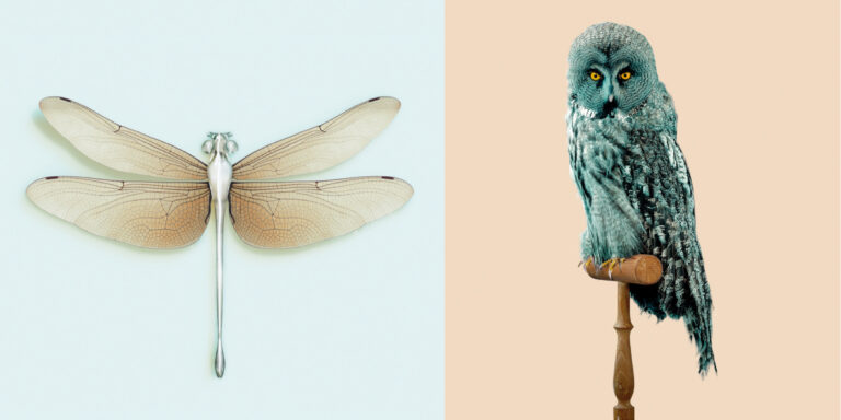 写真家ヴァンサン・フルニエの個展を開催のメイン画像