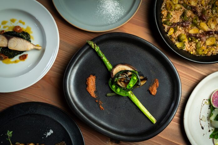京都・亀岡市にアートとサウナの宿「6ishiki（ムイシキ）」、京都の豊かな食材を味わう欧風料理オリジナルコース「サガストロノミー（＝サウナ×ガストロノミー）」を開始のメイン画像