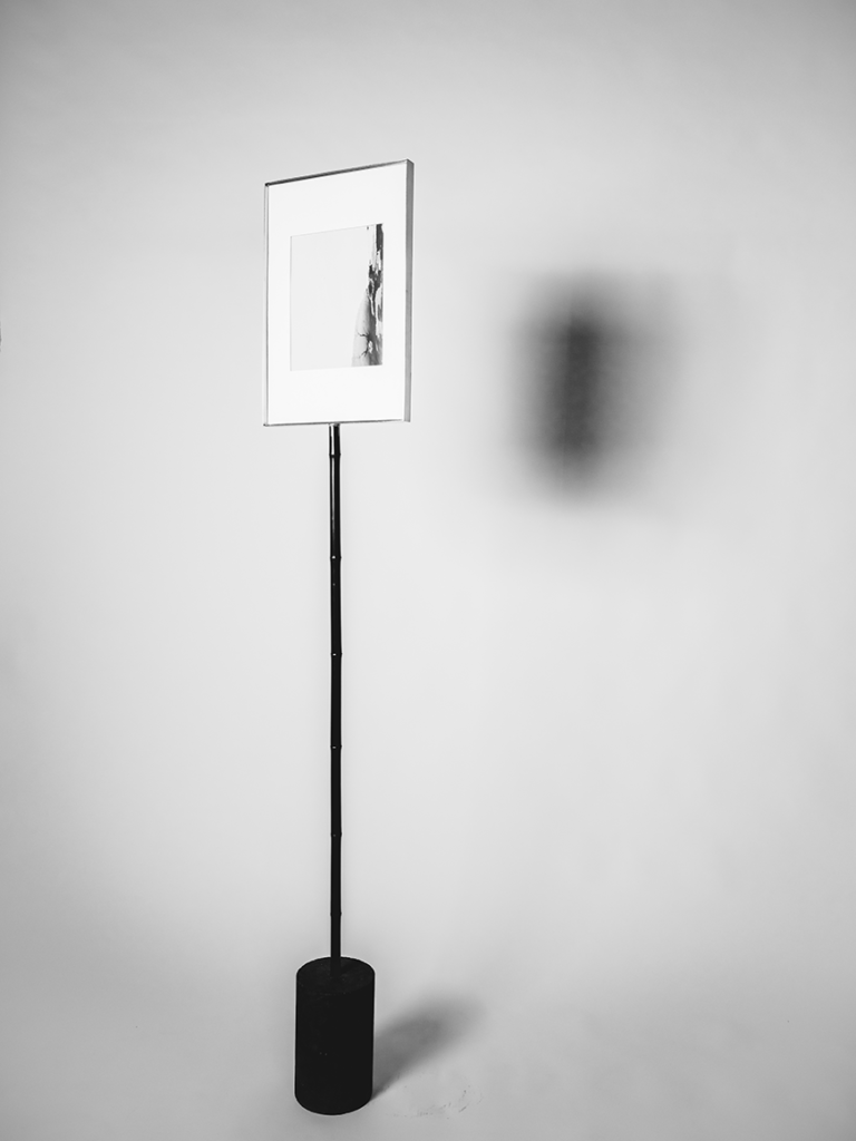 総合芸術会社「Ubsnant」による「花は野にあるように」展が開催／建築デザイナー、写真家、彫刻家が「あるべき地球の姿」を制作のメイン画像