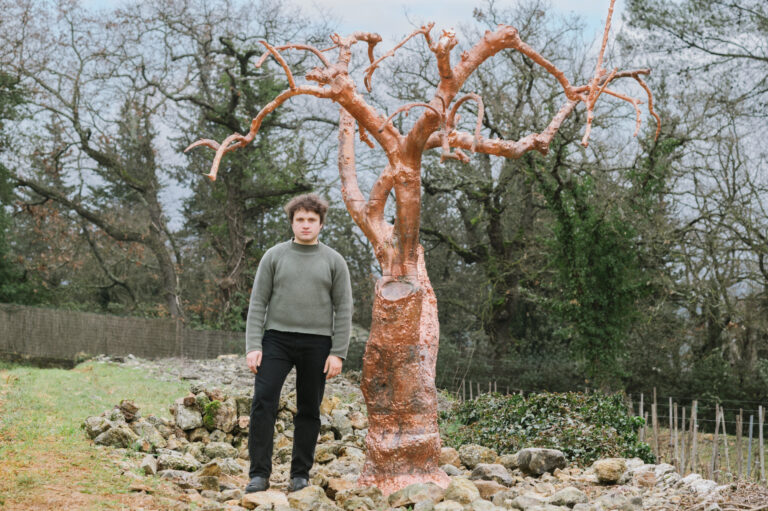 ディオール ラ コル ノワール アワードのメイン画像