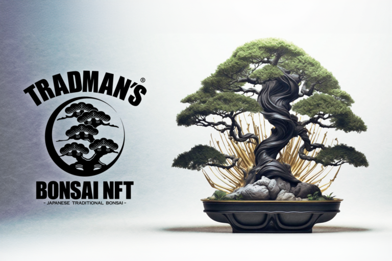 “盆栽×⽣成AIアート”──「伝統とは⾰新の連続」と語る、盆栽プロデューサー⼩島鉄平による新たな挑戦。「TRADMANʼS BONSAI NFT」 2024年6⽉より順次販売開始。のメイン画像