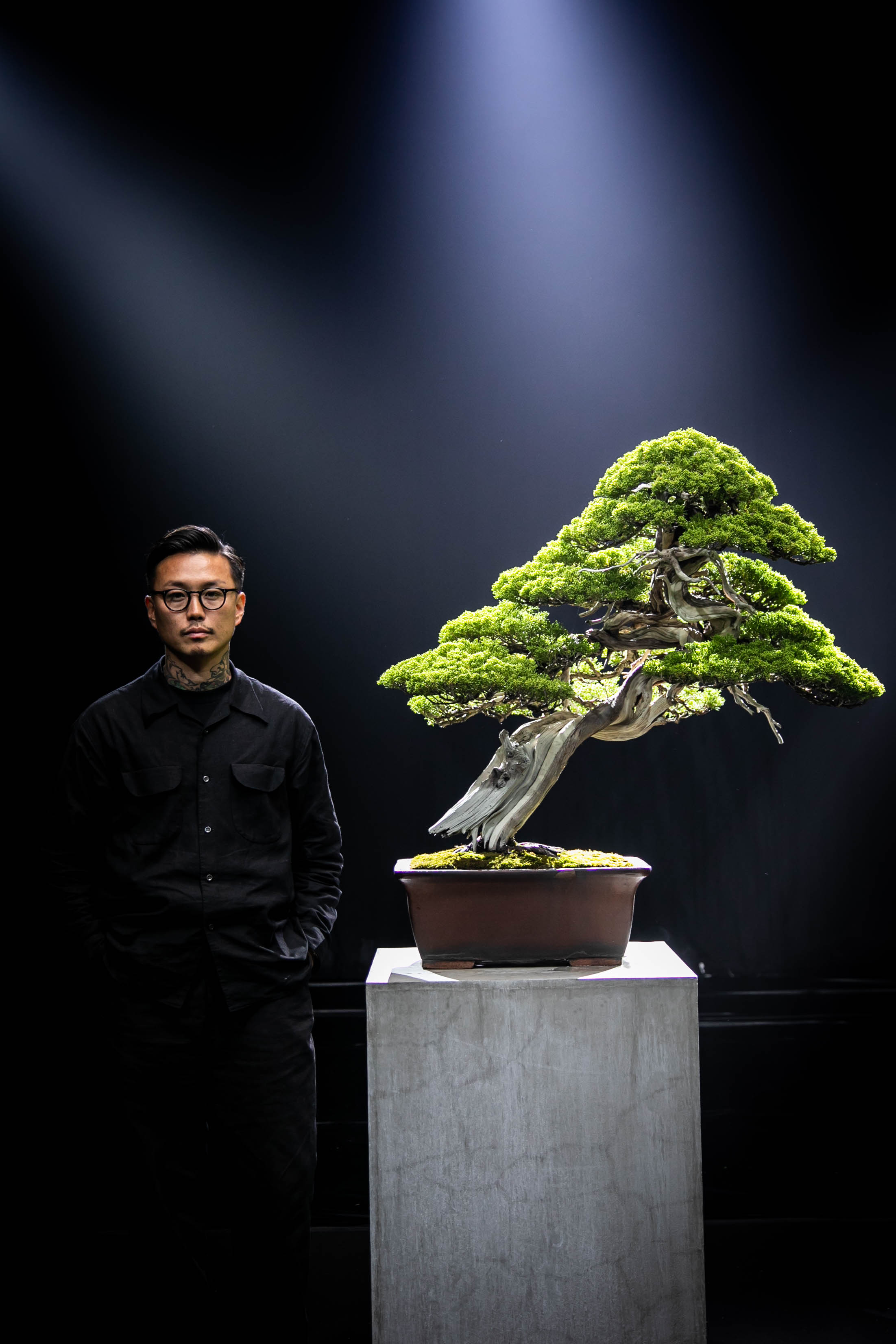“盆栽×⽣成AIアート”──「伝統とは⾰新の連続」と語る、盆栽プロデューサー⼩島鉄平による新たな挑戦。「TRADMANʼS BONSAI NFT」 2024年6⽉より順次販売開始。のサブ画像5