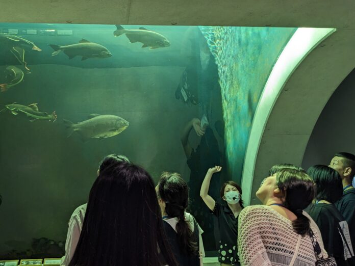 開館前のアトアをご案内！団体向け“朝ツアー”の申込開始！【神戸の水族館│アトア】のメイン画像