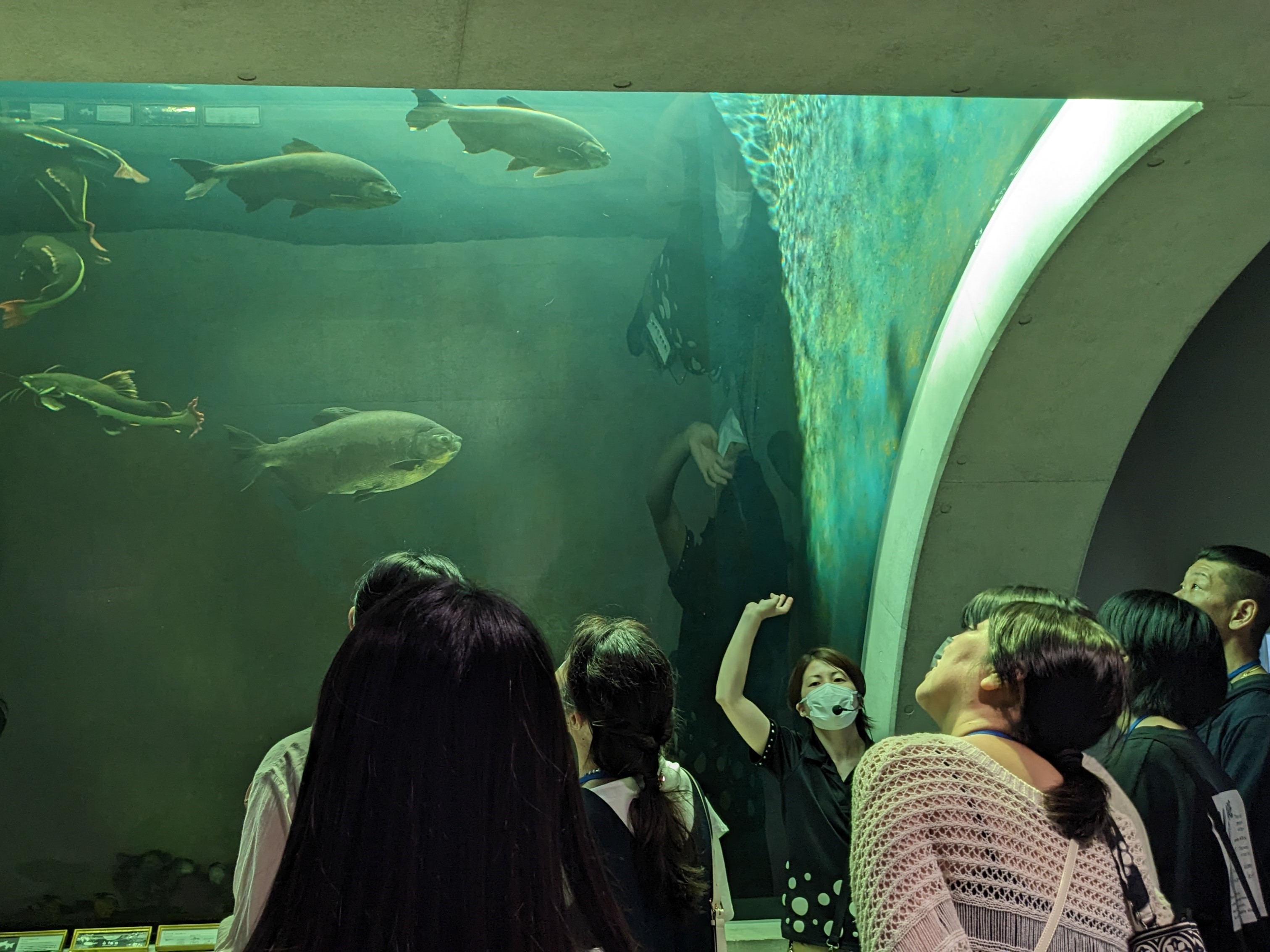 開館前のアトアをご案内！団体向け“朝ツアー”の申込開始！【神戸の水族館│アトア】のサブ画像1_スタッフによるご案内の様子