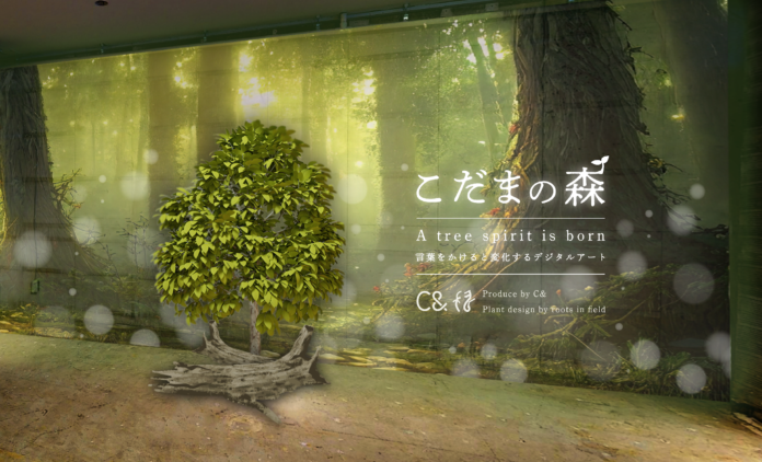 【デジタルアート制作会社 C&（シーエンド）】新作プロジェクション作品を発表！「こだまの森 - 言葉をかけると変化するデジタルアート」のメイン画像