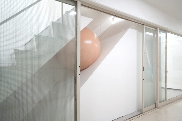 【CASHI】酒々井千里個展「むだな抵抗」を6月28日（金）より開催のメイン画像