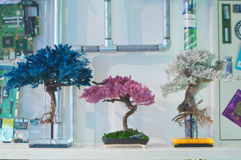 新宿エキナカで話題の次世代店舗“THE BENCH”にて、6/7よりRE BONSAI™️のPOP UP EVENTが開催決定のメイン画像