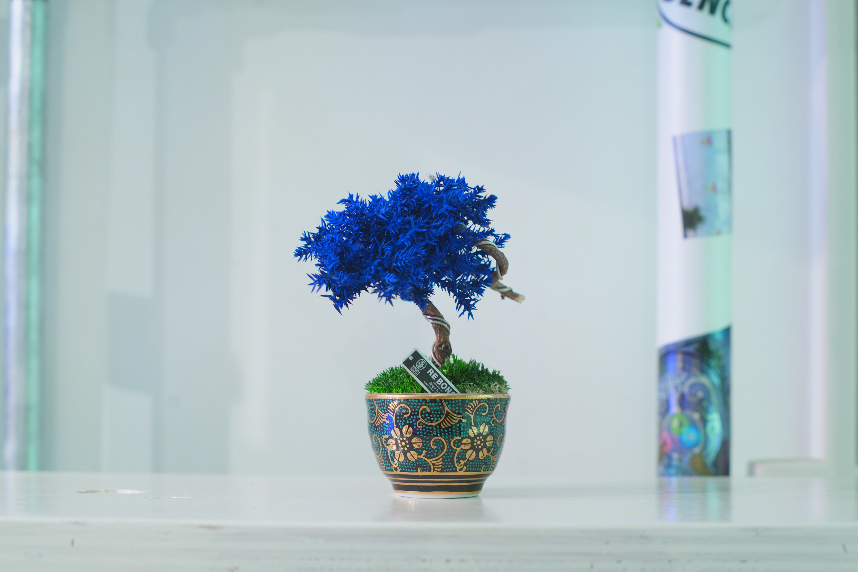 新宿エキナカで話題の次世代店舗“THE BENCH”にて、6/7よりRE BONSAI™️のPOP UP EVENTが開催決定のサブ画像3