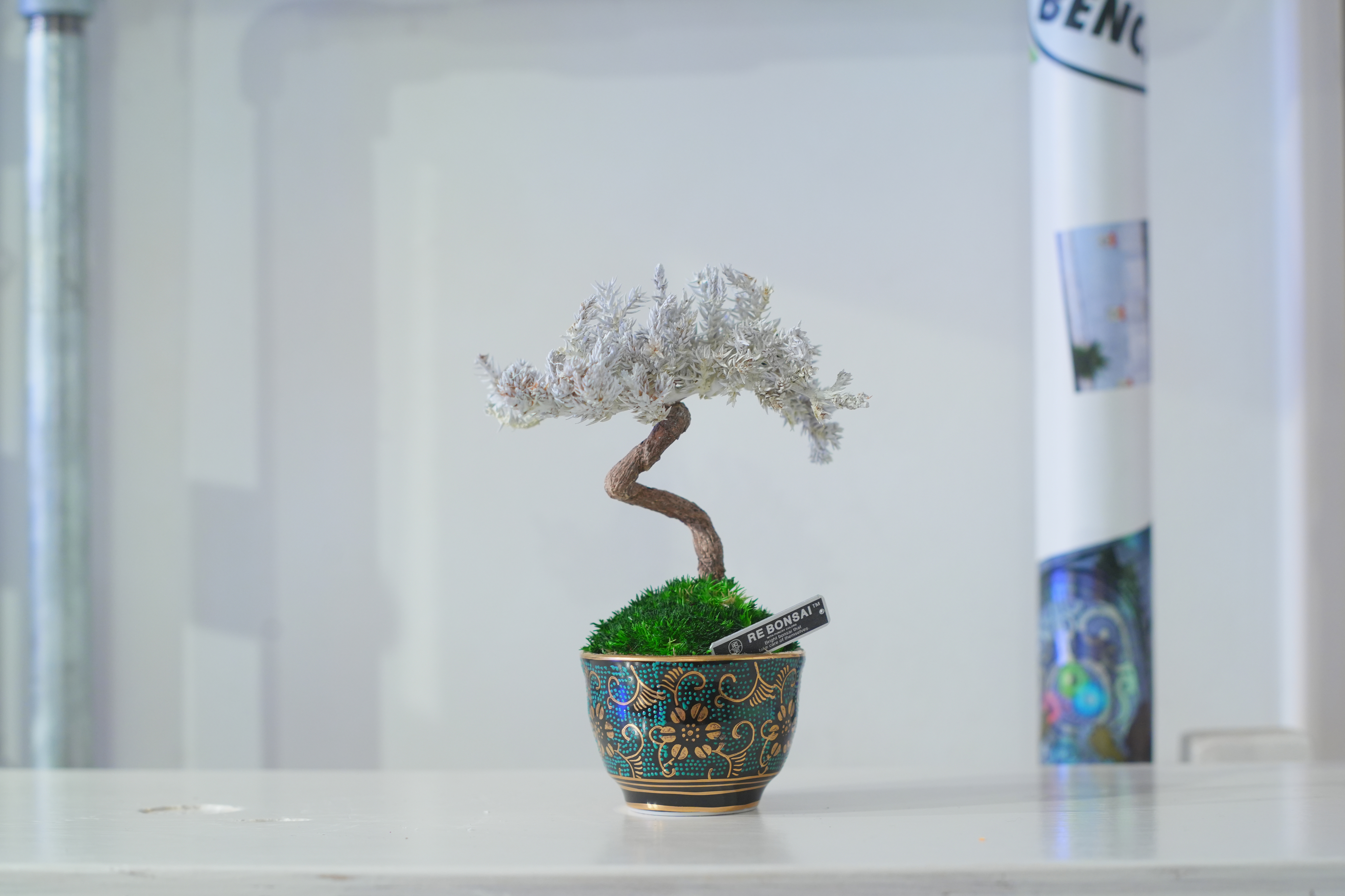新宿エキナカで話題の次世代店舗“THE BENCH”にて、6/7よりRE BONSAI™️のPOP UP EVENTが開催決定のサブ画像4