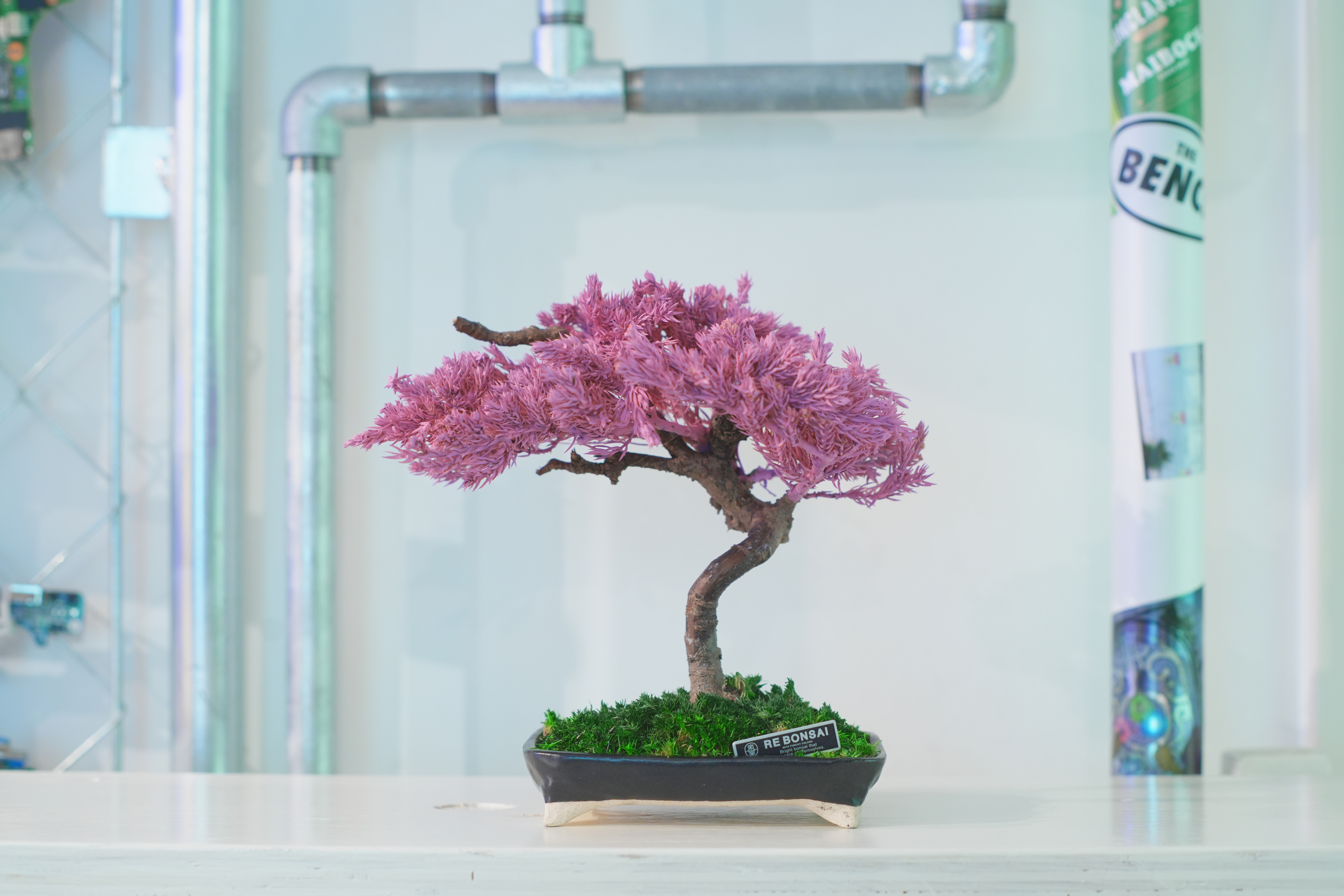新宿エキナカで話題の次世代店舗“THE BENCH”にて、6/7よりRE BONSAI™️のPOP UP EVENTが開催決定のサブ画像5