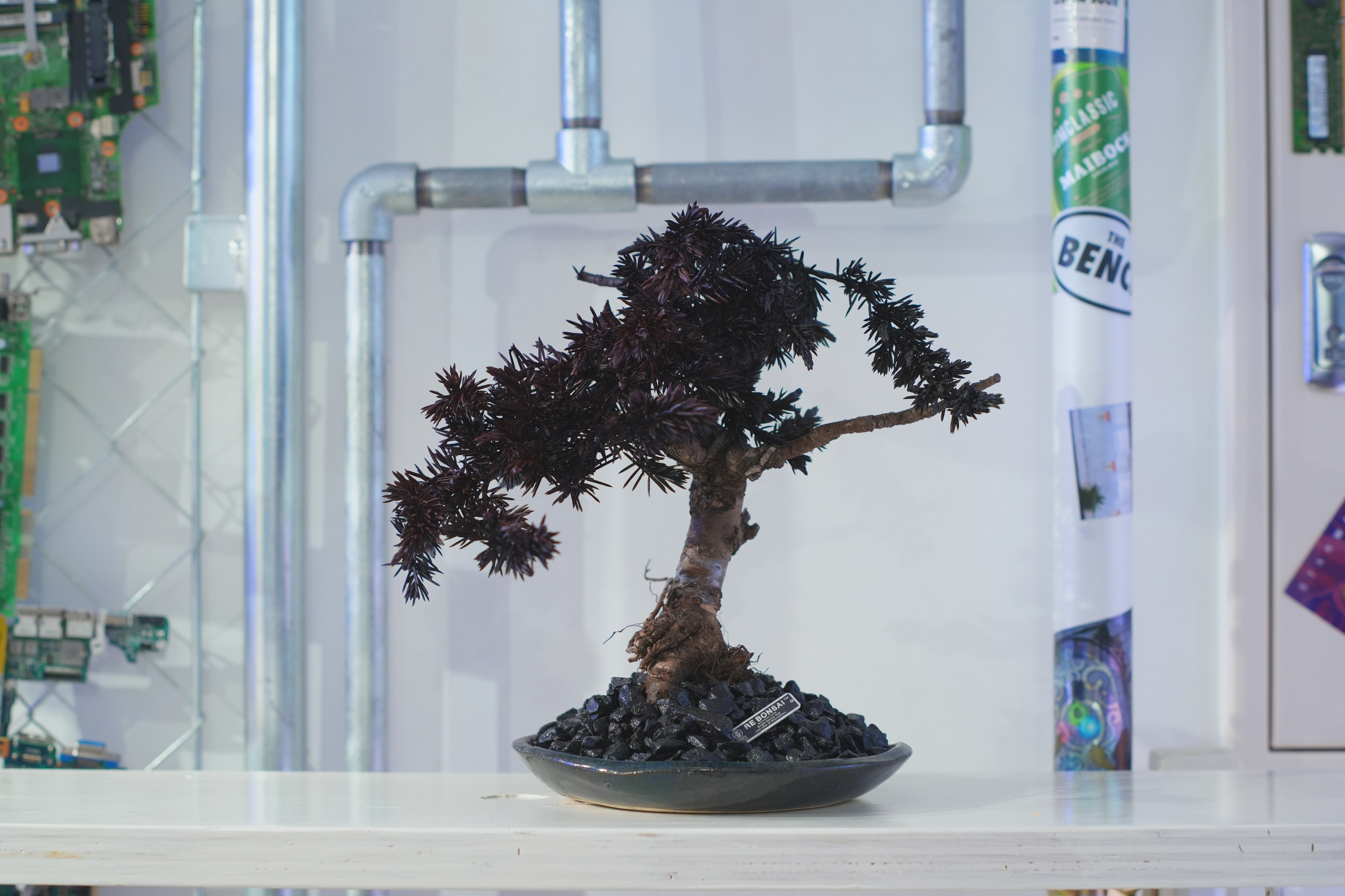 新宿エキナカで話題の次世代店舗“THE BENCH”にて、6/7よりRE BONSAI™️のPOP UP EVENTが開催決定のサブ画像6